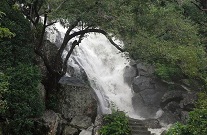 aruvi_waterfalls