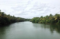 ashtamudi_lake