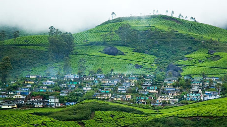 devikulam_hillstation