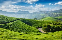 munnar