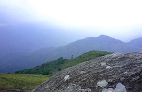 ponmudi_hillstation